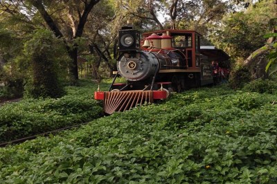 Short video poster image