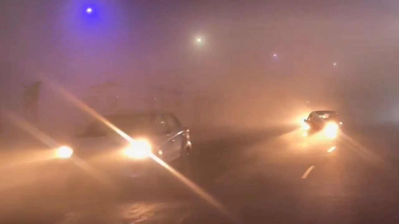 कोहरे का कहर, रफ्तार में ब्रेक (फोटो सोर्स- पत्रिका)