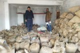 Illegal paddy seized