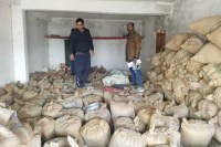 Illegal paddy seized