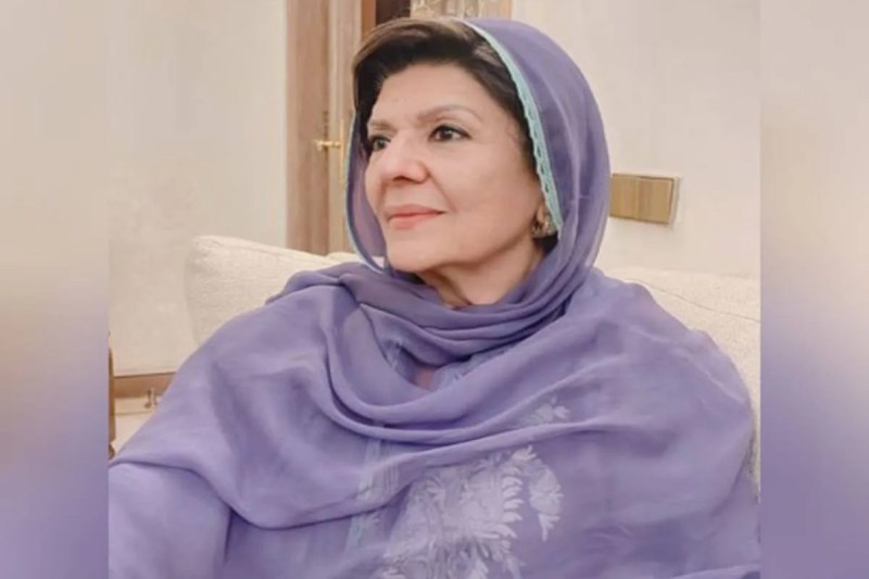 Imran Khan's Sister Aleema Khan