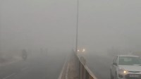 घने कोहरे का अलर्ट (फोटो सोर्स- पत्रिका)