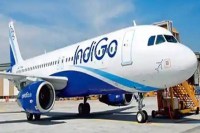 Indigo Airlines, Indigo Airlines News, Indigo Airlines Today News, Indigo Airlines Late, Indigo Airlines Late in Jodhpur, Jodhpur Mumbai Indigo Airlines, Jodhpur News, Rajasthan News