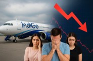 Indigo News