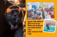 Indore News Rat bite case