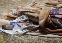 Child died in elephant attack