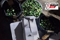 Jaipur Police Drugs Camping