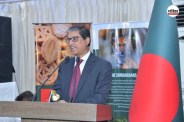 External Affairs Summon M. Hamidullah