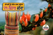 MP News