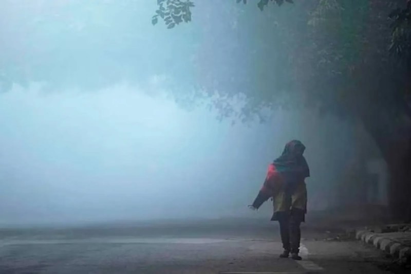 MP Weather Alert cold waves havoc