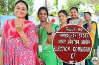Maharashtra local body elections