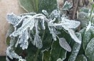 Severe cold in Ambikapur