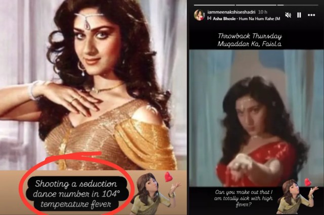 Meenakshi-Seshadri-Latest-Post-