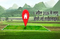 Property Guidelines, mp news