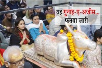 Bollywood actress Nushrratt Bharuccha