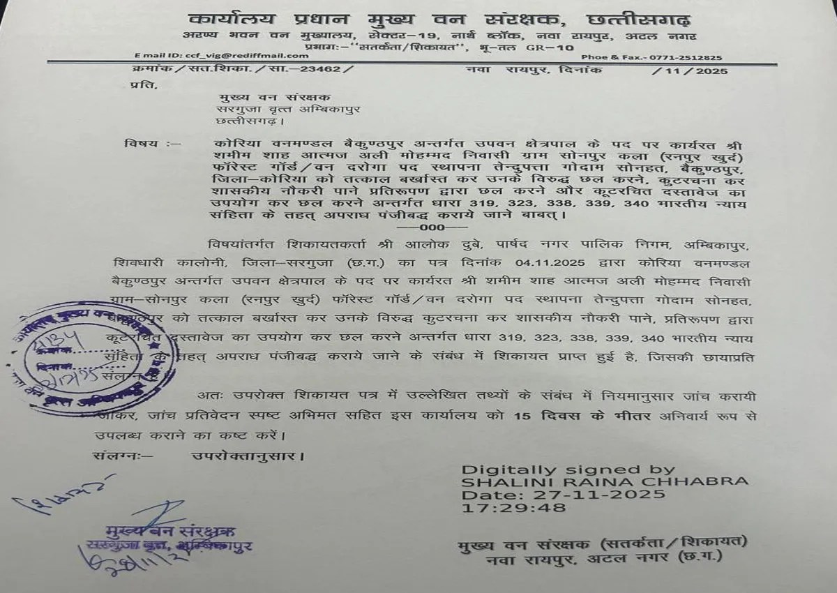 Job with fake mark sheet