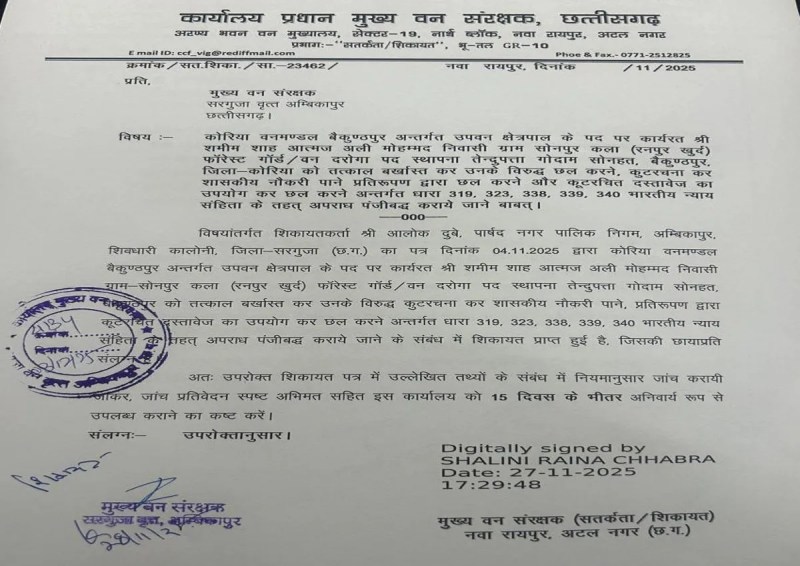 Job with fake mark sheet