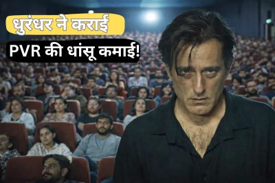 Dhurandhar box office collection