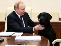Vladimir Putin Angela Merkel dog incident