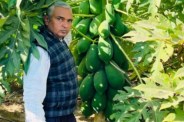 Success Story, Rajasthan Success Story, Sirohi Success Story, Farmer Success Story, Organic Farming, Organic Farming in Rajasthan, Organic Farming in Sirohi