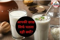 Real Buttermilk vs Watered CurdReal Buttermilk vs Watered Curd