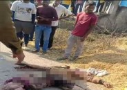 Road accident