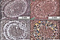 Udaipur Iswal region found Two billion year-old rocks secrets about Earth origins leaving scientists astonished