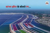 Rajasthan Sambhar Lake Why do these salt pans appear so colorful fascinating reason will surprise you