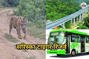 Sariska-Tiger-Reserve-2