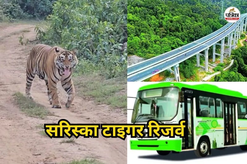 Sariska-Tiger-Reserve-2