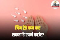 T-maxxing and Fertility