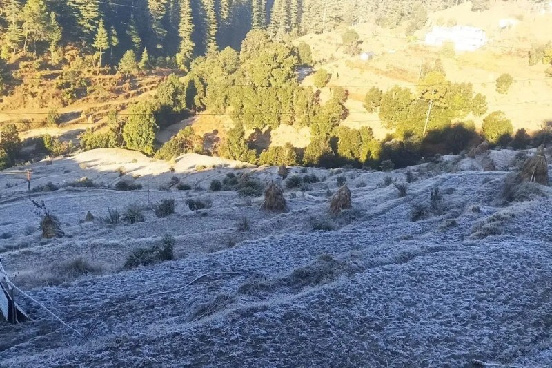 The lack of rain in December has posed a threat to the crops