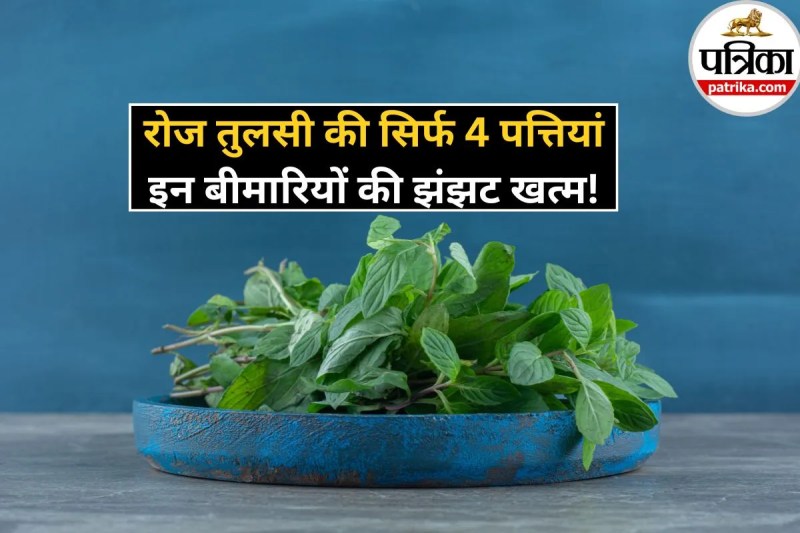 Tulsi Khane Ke Fayde