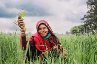 2025 में किसानों की बल्ले-बल्ले!