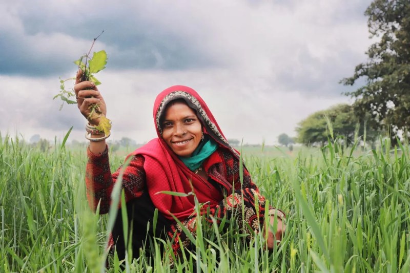 2025 में किसानों की बल्ले-बल्ले!