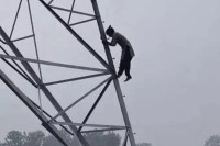 Up news, mahrajganj news