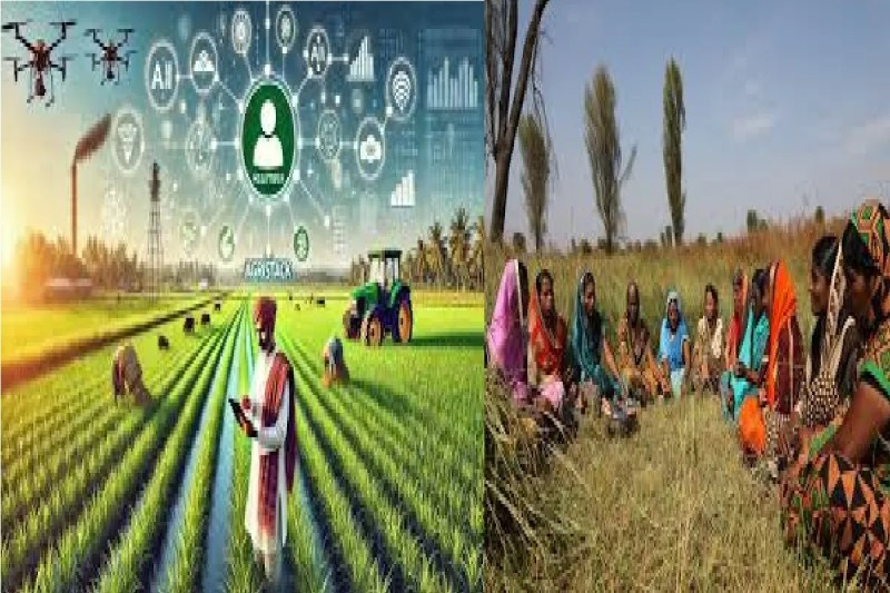 एग्रीस्टेक पोर्टल की गड़बड़ी से 4 हजार किसान परेशान, पंजीयन के 24 घंटे बाद भी अपडेट नहीं हुआ डाटा...(photo-patrika)