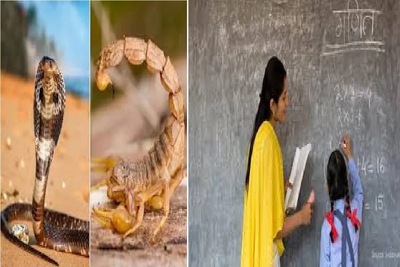 अब सांप-बिच्छू पर भी नजर रखेंगे टीचर, DPI का नया आदेश जारी, बच्चों की सुरक्षा पर बढ़ी सख्ती...(photo-patrika)