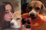Varun Dhawan emotional post in morning he Pet Dog and joey sister angel Passed Away