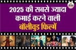 Highest Grossing Bollywood Movies - 2025