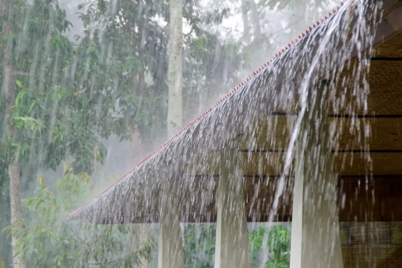 Delhi weather Forecast New western disturbance active imd new Rain Prediction for 9-10-11-12-13 December