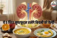 kidney detox foods, food good for kidney health, food good for kidney patients.