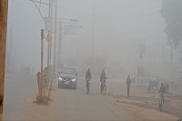 भीषण शीतलहर, 22 जिलों में कोहरे और सर्दी का अलर्ट जारी (फोटो सोर्स : Patrika)