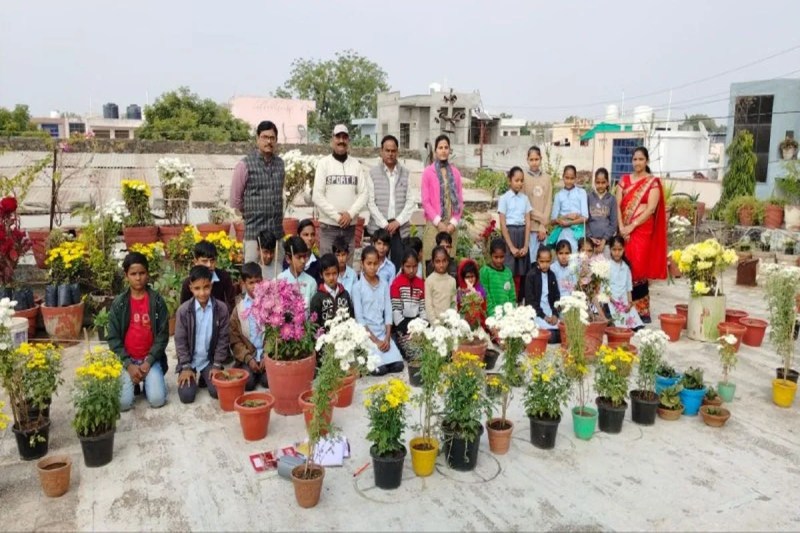 A retired teacher has created a unique garden.