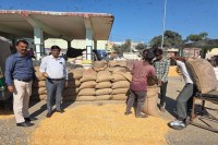 Our maize is going to poultry farms in Haryana and Punjab.