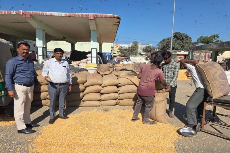 Our maize is going to poultry farms in Haryana and Punjab.