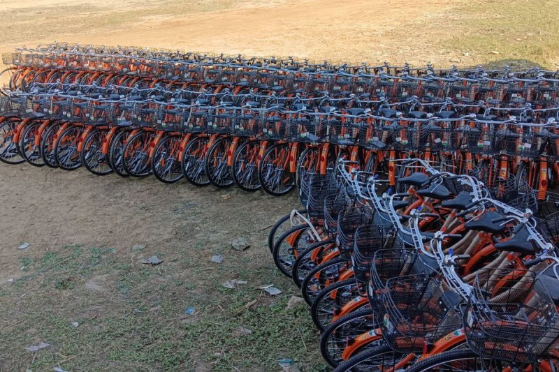 The completion of two years of the government's term has revived hopes for the bicycle project.