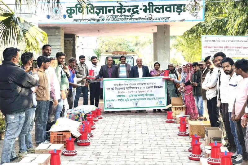 Poultry farming offers a path to self-reliance; farmers receive free chicks.