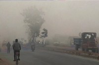 Cold Wave Alert In MP