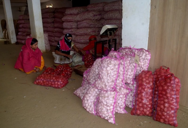 Public News.. थोक से चिल्हर तक कीमतें टूटी : आलू-प्याज में रिकार्ड क्रैश